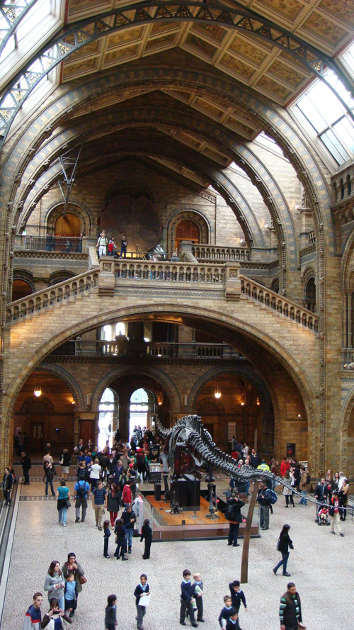 Natural History Museum 2012